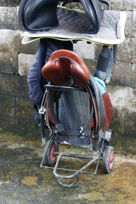 selles-essai-saddle-fitter