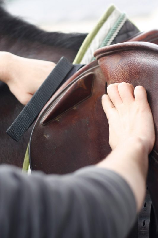 verification-attache-quartier-selle-saddle-fitter