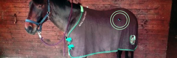 Capteur Orscana sur un cheval